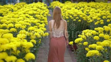 一个年轻的女人走在许多黄色的花中，东亚人成长为庆祝农历新年。 旅费