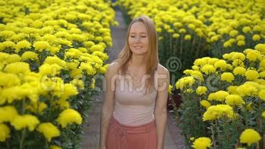 一个年轻的女人走在许多黄色的花中，东亚人成长为庆祝农历新年。 旅费