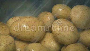 许多土豆在水槽里洗