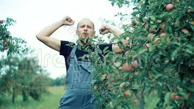 苹果农夫跳舞