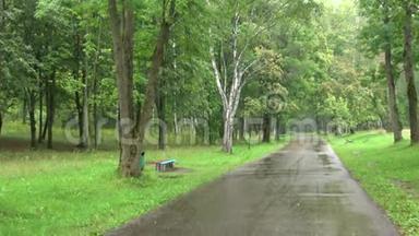 在马祖里诺公园<strong>淋雨</strong>