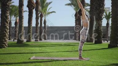 在公园里做棕榈树姿势的女人。 女孩在户外练习瑜伽