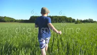 跟着快乐的男孩在阳光明媚的热天用绿色的小麦穿过田野。 戴帽子慢跑的免费儿童