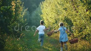 <strong>小女孩</strong>和她的哥哥手里拿着篮子沿着美丽的大自然<strong>奔跑</strong>。 后景。 复制空间。 4K.