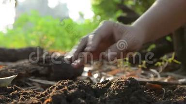 女人的手把种子撒在地上，用大自然的声音浇水