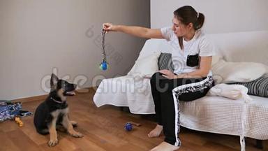 一个女孩在她的房间里玩她的狗，狗的特殊玩具。 宠物和主人的概念