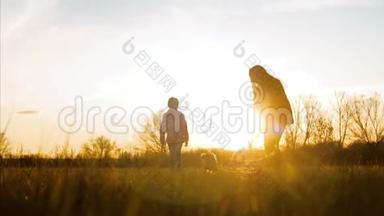 快乐的妈妈和宝宝在日落时和狗一起散步。 家庭生活。 <strong>主人</strong>抚摸<strong>宠物</strong>的手，玩