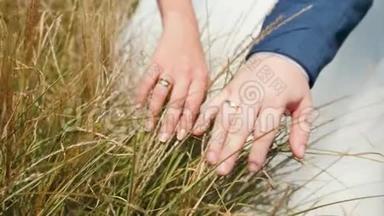 特写4k视频的新娘和新郎触摸高草在菲尔斯。 手牵手摸草地
