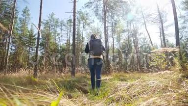 4K慢动作<strong>视频</strong>，从低点<strong>开始</strong>，年轻女子在森林中徒步旅行，在穿过大草甸的小路上行走