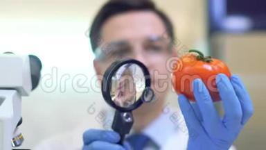 实验室工作人员检查水果和蔬菜，并对农药和硝酸盐进行分析。