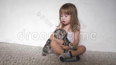 快乐的小女孩拥抱和亲吻一只苏格兰折叠猫。 小猫和灰猫在一起玩。 孩子和宠物。 孩子
