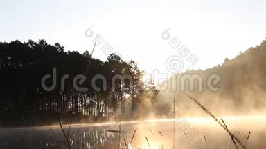 早晨，雾在湖边露营，阳光明媚