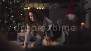 在新年树上<strong>挂红</strong>色玩具的白人妇女的特写镜头。 莫斯科大看门狗躺在他朋友旁边