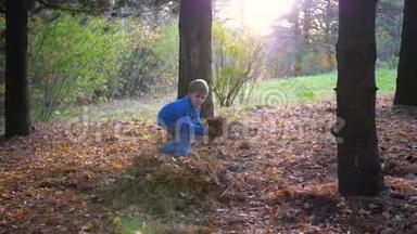 孩子在公园里玩，把<strong>树叶</strong>扔起来。 太阳`光线<strong>穿透</strong>松林。 欢笑和欢乐