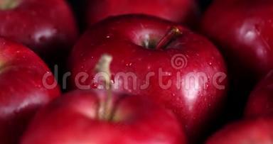 用水滴旋转新鲜的红苹果。