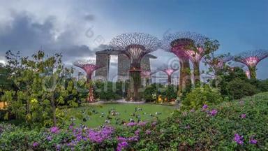 未来派的鸟瞰令人惊叹的<strong>照明</strong>花园在海湾白天到夜晚时间在新加坡。