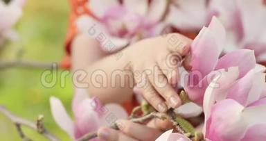 特写视频`女子的手温柔地抚摸着一朵盛开的树枝上的粉红色花朵。 春季开花