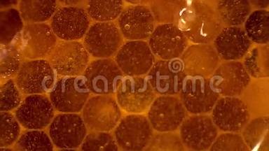 蜂蜜特写。 蜂蜜特写。 琥珀甜蜜蜂窝里.. 透明的蜂蜜顺着蜂窝流下来