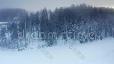 冬季松树森林的空中全景，亚北极景观，冰冻的，多雾的空气，低云，老高的松树上多雪，