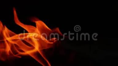 自然与真实火灾，火灾火焰，黑色背景特写视频的火灾效果