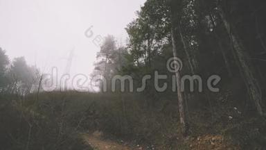 雾蒙蒙的冬山森林松树在乌云密布的日子，高姿态的远足，电影院的宁静