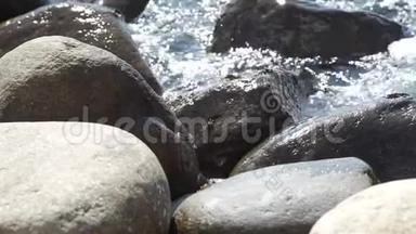 岸蟹在海岸的岩石上爬行