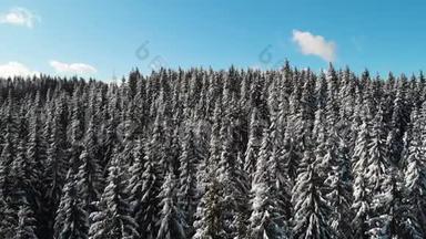 山地中的冬林，空中<strong>冻结</strong>的雪景