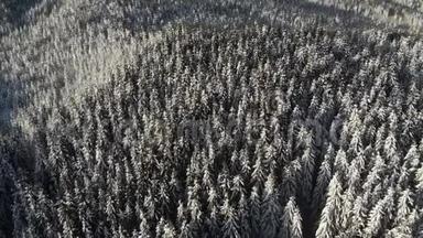 冬季的森林，空中冰冻的雪景，雪季
