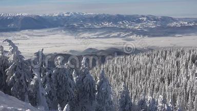 冬季景观。 雪覆盖的山脉和冷杉树，滑雪胜地，高山的圣诞雪，阿尔卑斯山的景色