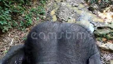 游客在泰国<strong>骑大象</strong>。 从顶部查看
