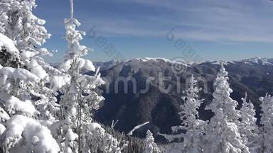 冬季景观。 雪山和森林，滑雪胜地，阿尔卑斯山的圣诞雪，阿尔卑斯山的景色