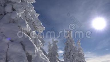 冬季景观。 雪山和森林，滑雪胜地，阿尔卑斯山的圣诞雪，阿尔卑斯山的景色