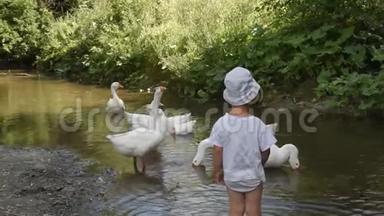 这孩子害怕在河里游泳的鹅。 3.那个男孩躲开了攻击他的鸟
