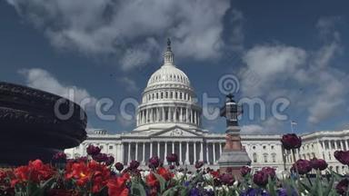 华盛顿美国国会大厦前的花坛
