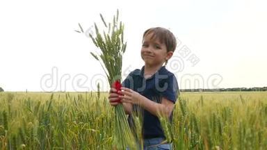 一个可爱的男孩在田里拿着一片<strong>麦子</strong>，吸着它的香气。 农业。