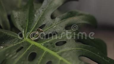 雨后，婚礼在一片绿色的湿叶上响起。 婚礼细节和配饰