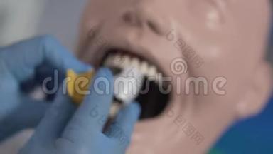 牙科人体模型<strong>口腔</strong>安装装置的极端特写。 无法辨认的<strong>口腔</strong>医生