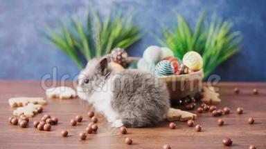 可爱<strong>的</strong>复活节兔子在<strong>篮子里</strong>，五颜六色<strong>的鸡蛋</strong>和糖果在木桌上。 复活节节日装饰品，复活节概念背景