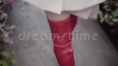 镜头跟随红色大腿高靴走在玻璃房的一排植物。 穿高跟鞋的时髦优雅女人