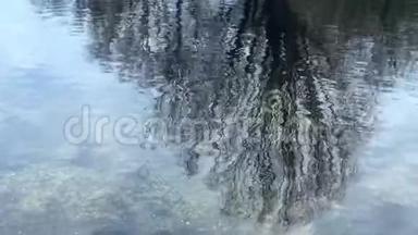 秋树光秃秃的枝条在湖<strong>水光</strong>滑表面的反射。