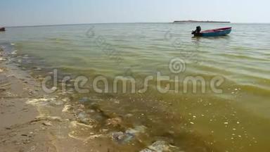 海浪把死去的美杜莎扔到沙滩上。 黑海