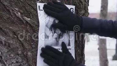 在冬天的手套里，把丢失的狗广告挂在树上。 圣伯纳德`主人在寻找丢失的宠物