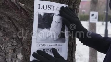 冬季手套上的女手特写在树上挂着失踪的猫广告。 女宠物主人寻找动物