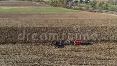 一位五匹马拉动收割机收割秋玉米的阿米什农民的鸟瞰图