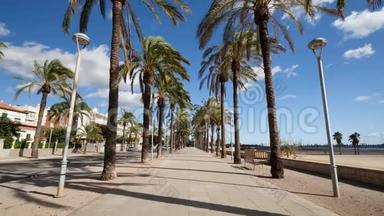 海滩海滨长廊环绕着高大的棕榈树，在炎热的阳光明媚的夏日，因为风而移动。