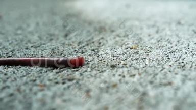 人行道上的蚯蚓在特写剪辑。 雨后，蠕虫在潮湿的混凝土上<strong>爬行</strong>、<strong>爬行</strong>、滑动和滑行。