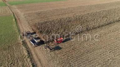 一位五匹马拉动收割机收割秋玉米的阿米什农民的鸟瞰图