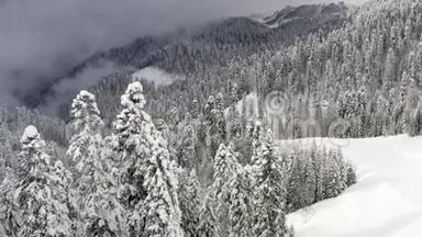 冬山雪松林地覆盖海霜空中景观.. 美丽的冬季景观，无人驾驶的雪沼