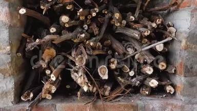 为壁炉准备的柴堆。 一堆木柴。 一堆准备做烤串的树枝。