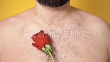 长胡子的人<strong>胸前</strong>举着红玫瑰。 情人节，2月14日，第一次约会的概念。 慢动作并关闭